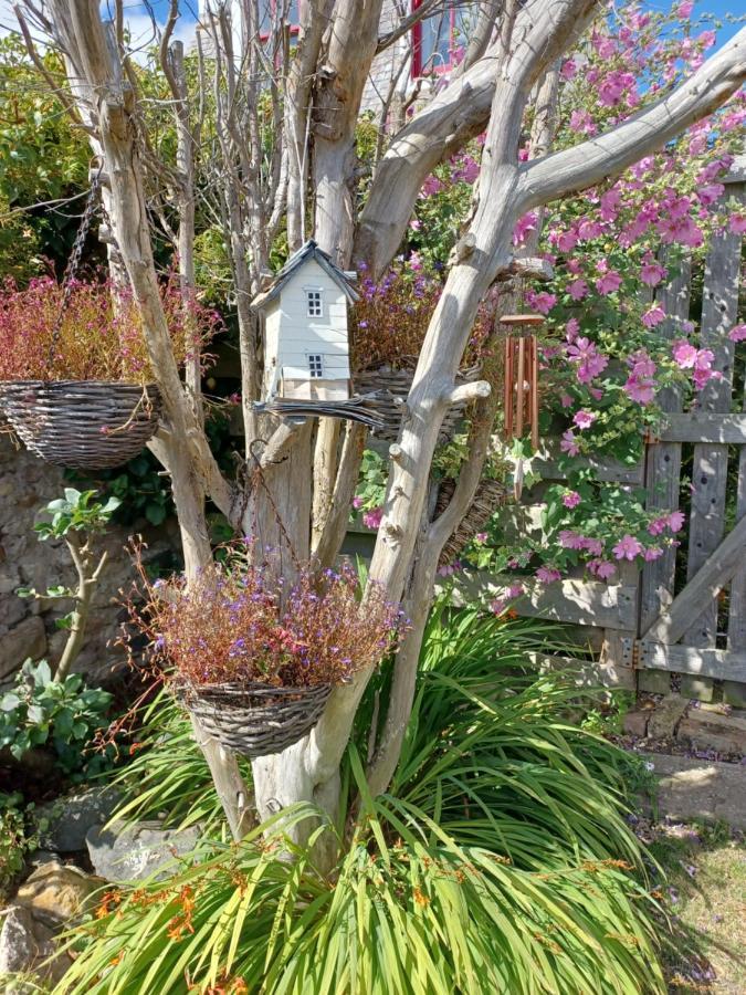 Beachhaven116 Lovely Beachside House Lower Largo Bagian luar foto